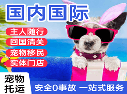 地窝堡机场物流国际宠物托运 【国